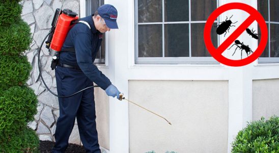 Didim Gümüşkurt İlaçlama böcek ilaçlama ve haşere kontrolü — ilaclama-tr.com